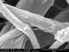 Mat baits, hooks and destroys pollutants in water