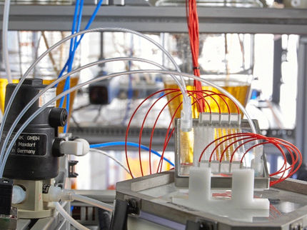 Rapid spectroscopic process analysis