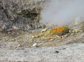 The biological role of europium