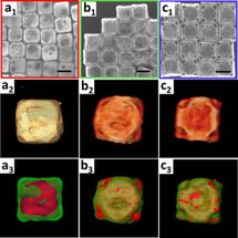 Carrying and releasing nanoscale cargo with 'nanowrappers'