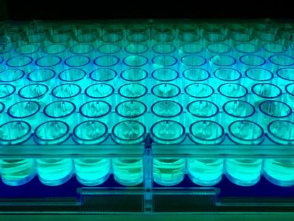 Chemists give chance a helping hand