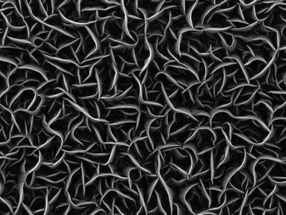 Production of catalyst in one single step