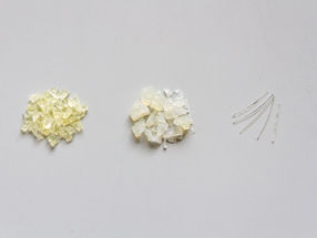 Polyamides from terpenes