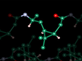 A real alternative to crude oil