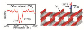 Processes at the Surface of Catalysts