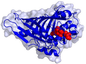 On our way to the bio-economy: High-performance biocatalyst discovered