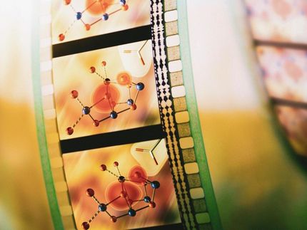 Showtime for photosynthesis