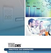 The DBS FID gas station supplies hydrogen and air pressure from a single instrument at the push of a button.