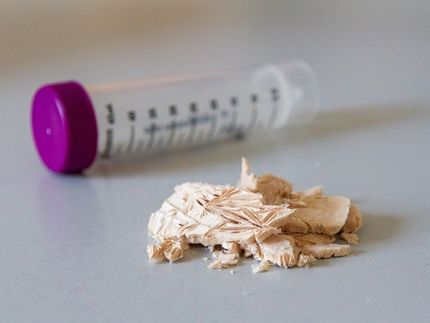 Bacteria fed on a customized diet produce biodegradable polymers for alternative packaging in the cosmetics industry