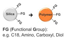Applications for HILIC and RP chromatography
