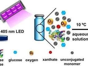 Ultraheavy precision polymers