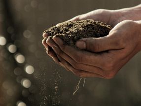 Synthesizing valuable chemicals from contaminated soil