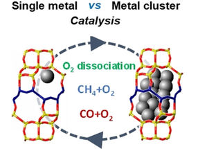 Active Platinum Species