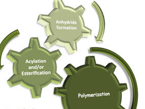 How Green Is Your Plastic?