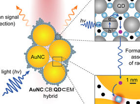 Nano ‘camera’ made using molecular glue allows real-time monitoring of chemical reactions