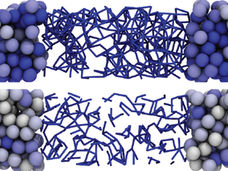 New images lead to better prediction of shear thickening