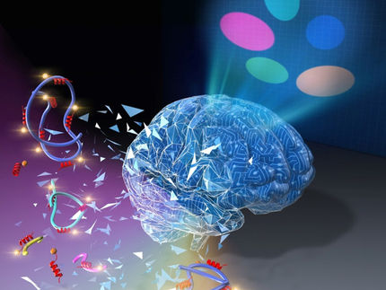 New polymer detection method to turn the (pep)tide in the fight against water pollution