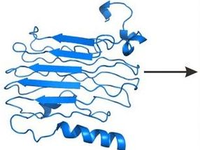 Strong and elastic, yet degradable: protein-based bioplastics
