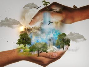 Green chemistry needs more green toxicology