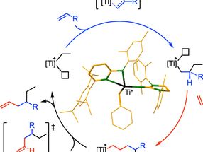 Researchers develop catalyst for sustainable production of important chemical precursors