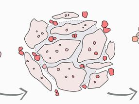 Nanoplastic particles love company