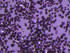 New material can ‘capture toxic pollutants from air’