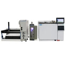 BTEX/GRO Analysis System