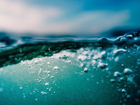 Catching up with quicksilver: MXene material can counter mercury contamination