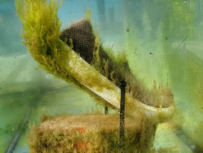 A sea change for plastic pollution: new material biodegrades in ocean water