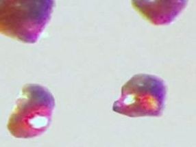 First intermetallic double salt with platinum