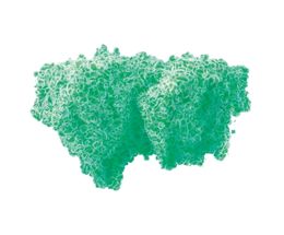 Prestigious grant for imaging single molecules