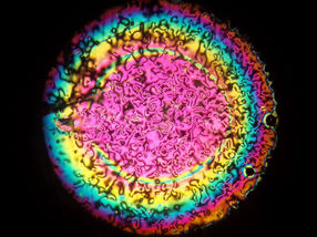 Liquid crystals for new optical applications