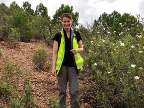 The color play of mineral resources