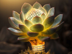 Producing ‘green’ energy — literally — from living plant ‘bio-solar cells’