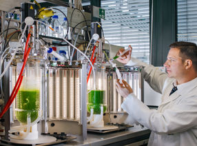 Revolutionary breakthrough: bacteria help in the circular economy of rare earths