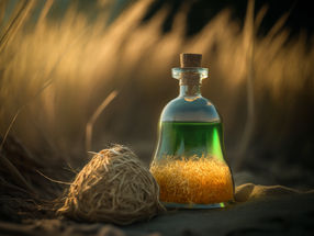 Green gold: Torrefied biomass to replace coal and oil