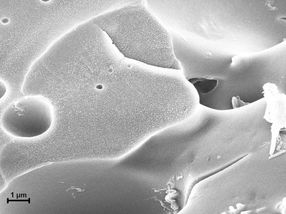 Self-healing plastic becomes biodegradable