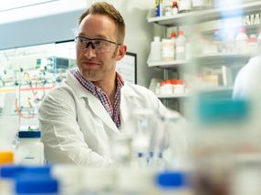 Gold buckyballs, oft-used nanoparticle ‘seeds’ are one and the same