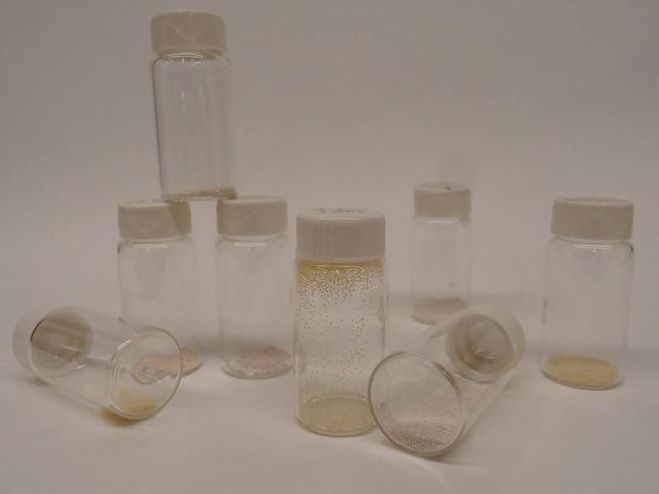 Dravid lab / Northwestern University