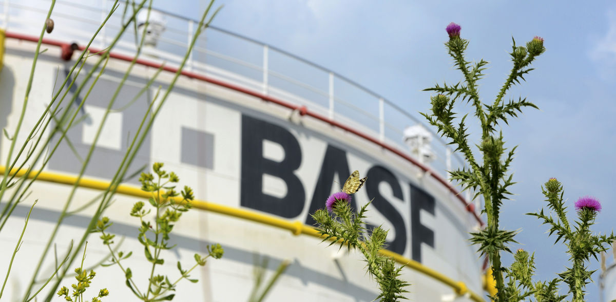 BASF SE