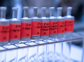 First step towards synthetic CO2 fixation in living cells