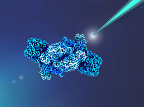 Powering Nitrogenases: New ways for sustainable fertiliser production