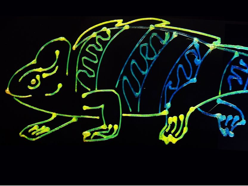 Chameleons inspire new multicolor 3D-printing technology - Researchers developed a sustainable technique to 3D print multiple dynamic colors from a single ink