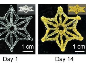 Marriage of synthetic biology and 3D printing produces programmable living materials