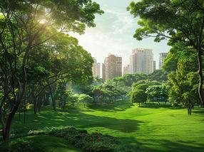 How green cities could remove CO2 from the atmosphere
