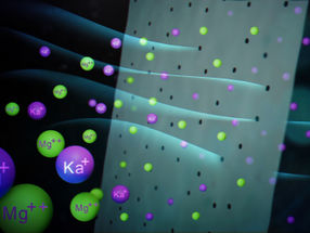 Filtering with mussel power