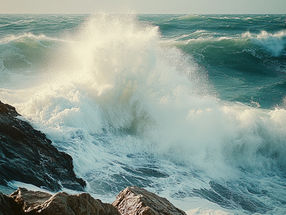 Heavy Metals in the Ocean Become More Toxic