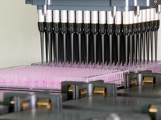 Effects of chemical mixtures: Neurotoxic effects add up