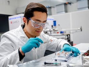 Mechanism of Cobalt-Manganese Catalysts Deciphered