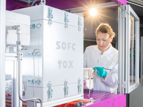 Climate-friendly electricity from ammonia